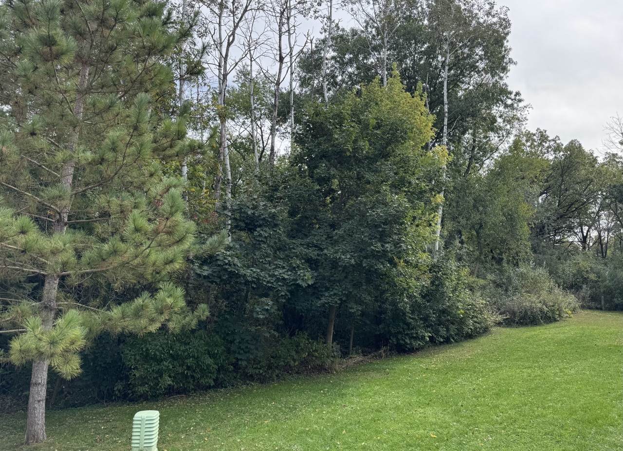 Lt9 Stacey Ln - Photo 1