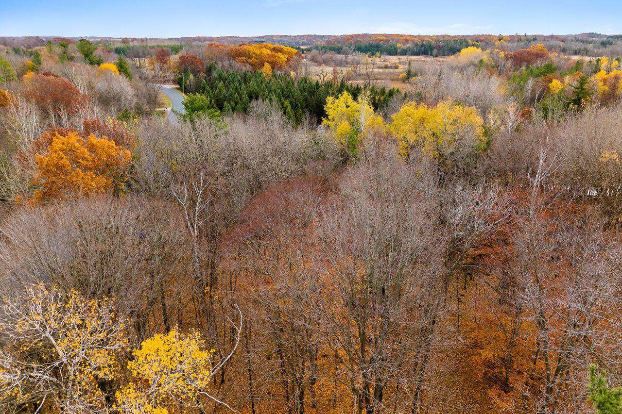 Lt1 Carstens Lake Rd - Photo 1