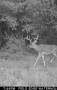00 Lake Rd - Photo 14