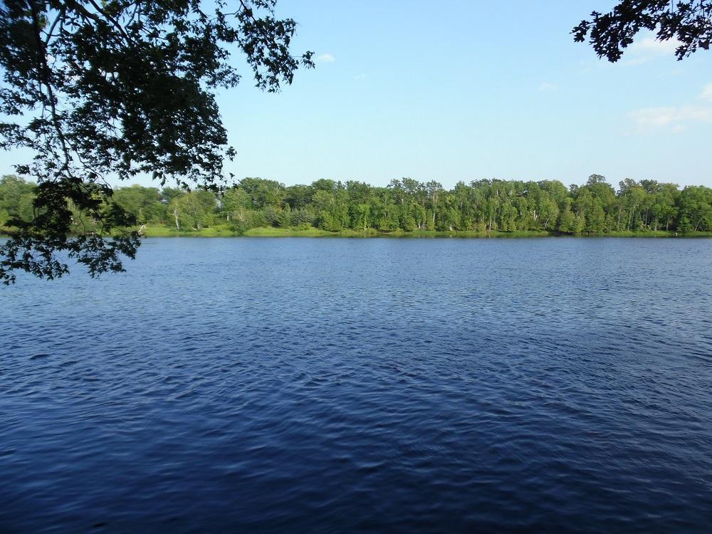 4.96 Acres Cottage Ln - Photo 1