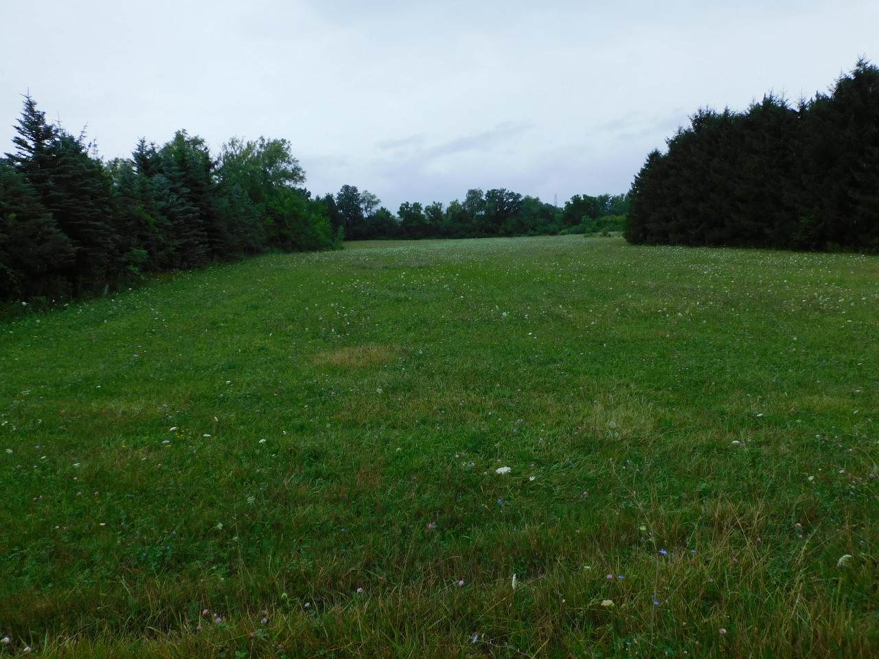 11606 7 Mile Rd - Photo 1
