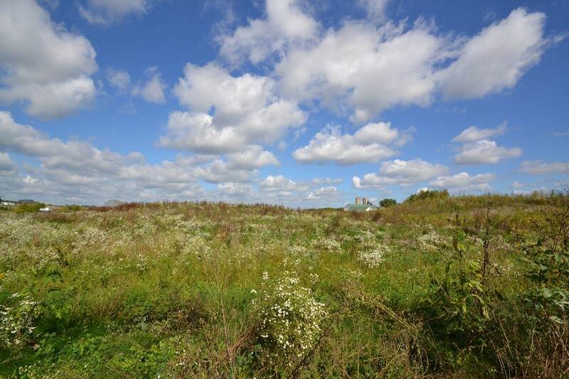 Lt1 Madyson Ct - Photo 1