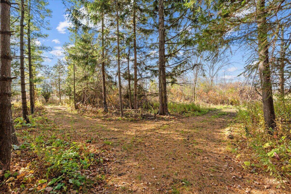 W5197 Green Tree Rd - Photo 1