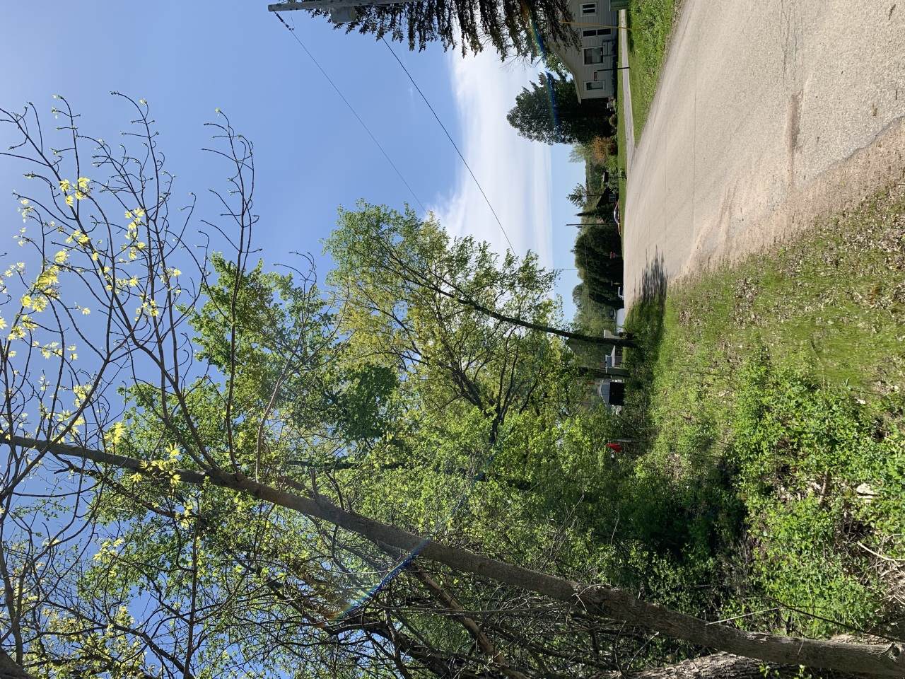 Lt6 Lake Dr - Photo 1