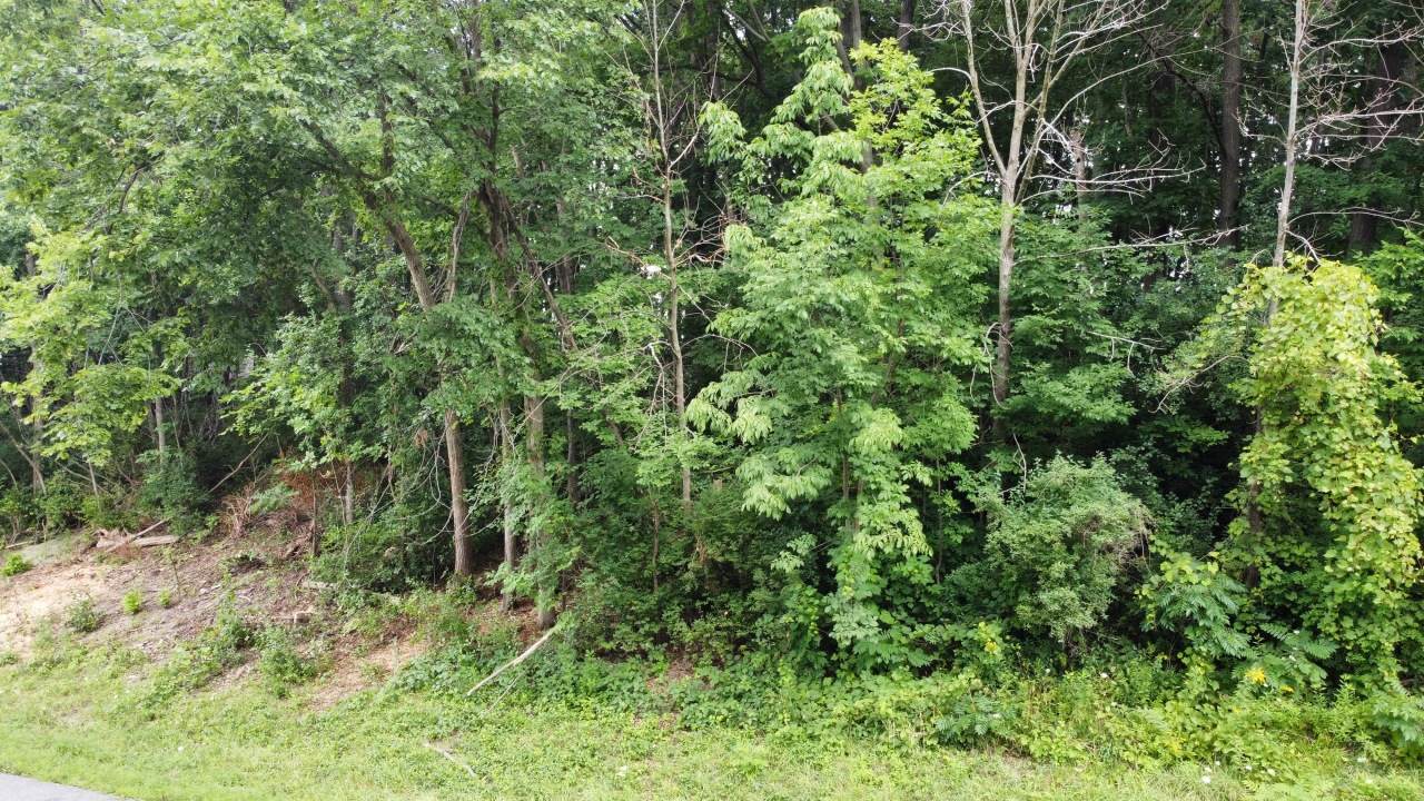 Lt3 Rock River Paradise - Photo 1