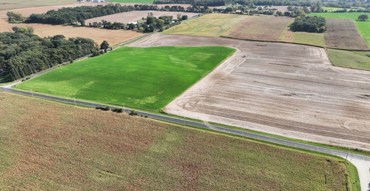 153.8 Acre Sugar Creek Rd - Photo 1