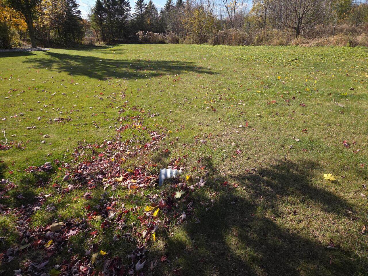 11223 Westwood Cir - Photo 1