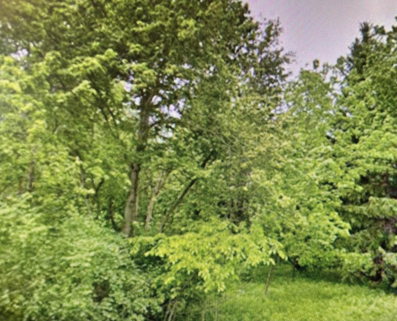 Lt1 County Highway Cc - Photo 1