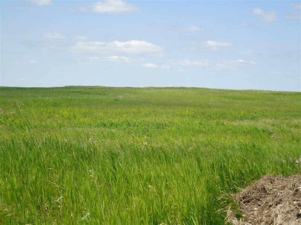 Lot 25-cul de sac lo 81st Ave. - Photo 1