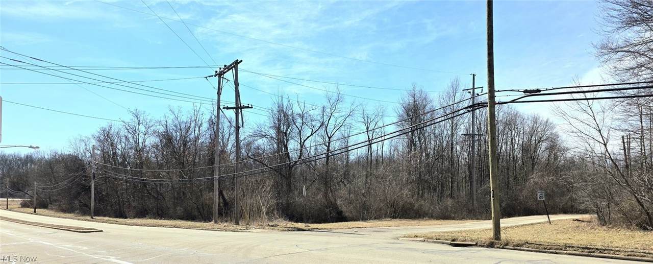 1251 Jacobs Road - Photo 1