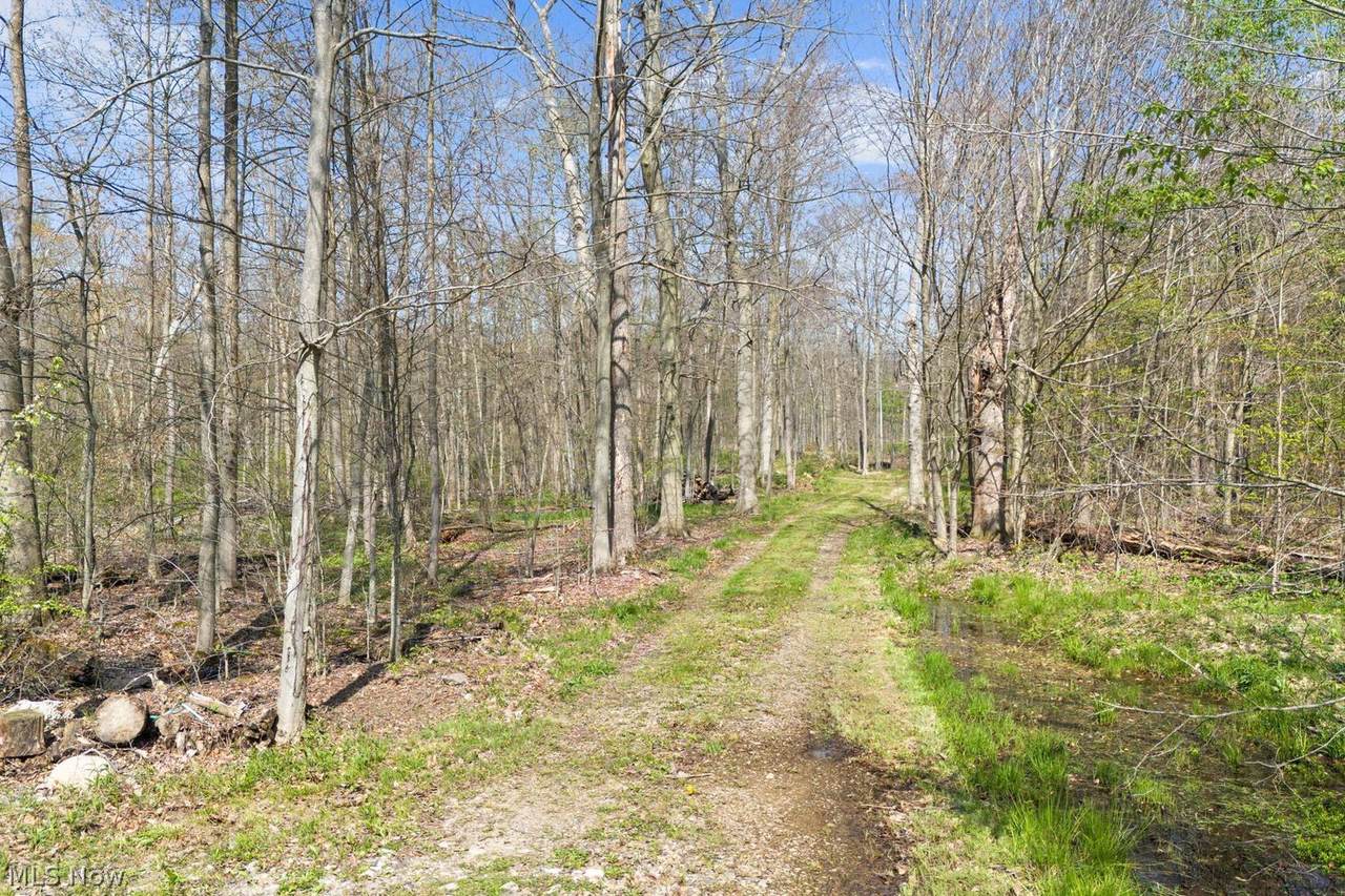 17990 Snyder Road - Photo 1
