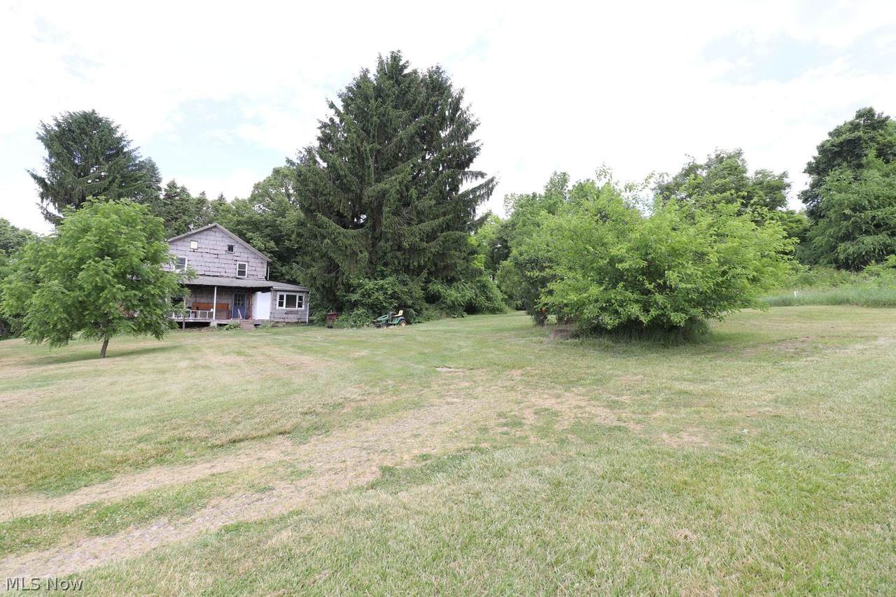 14115 Weygandt Street - Photo 1