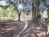16925 Cats Den Road - Photo 32