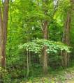 13561 Colony Lane - Photo 4