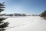 38325 Pelican Lake Drive - Photo 2