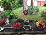 1564 Maple Road - Photo 3