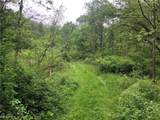  Buckeye Hollow Road - Photo 4