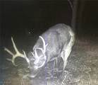  Dundee Strasburg Road - Photo 31
