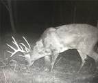  Dundee Strasburg Road - Photo 32