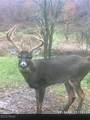  Dundee Strasburg Road - Photo 35