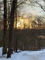  Dundee Strasburg Road - Photo 39