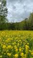  Dundee Strasburg Road - Photo 43