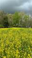  Dundee Strasburg Road - Photo 44