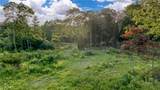 1556 Prospect Street - Photo 1