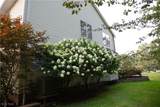 33630 Rosewood Trail - Photo 28