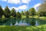 31075 Park Lane Drive - Photo 42