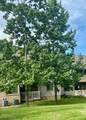 3800 Rosemont Boulevard - Photo 43