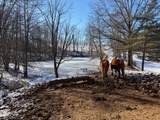 540 Flagdale Road - Photo 5