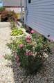 1727 Mcpherson Highway - Photo 40