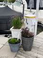 1805 Lakeshore Drive - Photo 10