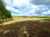 0 Van Winkle Road - Photo 12