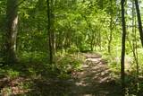 1145 Canyon View Road - Photo 24