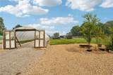 3220 Mccartney Road - Photo 34