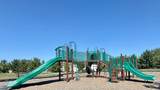 4402 Quarry Lane - Photo 48