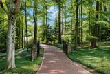 7905 Old Mill Road - Photo 40