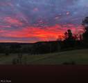 19751 Mcgavern Road - Photo 44