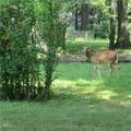 4097 Canterbury Rd. - Photo 9