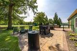 208 Birchbark Drive - Photo 46