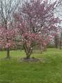 1596 Warren Avenue - Photo 40