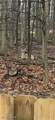12894 Falling Water Road - Photo 44