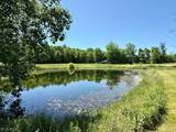 28509 Hawley Road - Photo 37