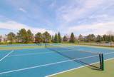 36305 Montrose Way - Photo 45