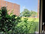 11820 Edgewater Drive - Photo 20