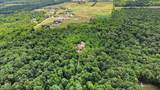 13945 Butternut Road - Photo 37