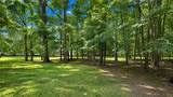 125 Orange Tree Drive - Photo 41