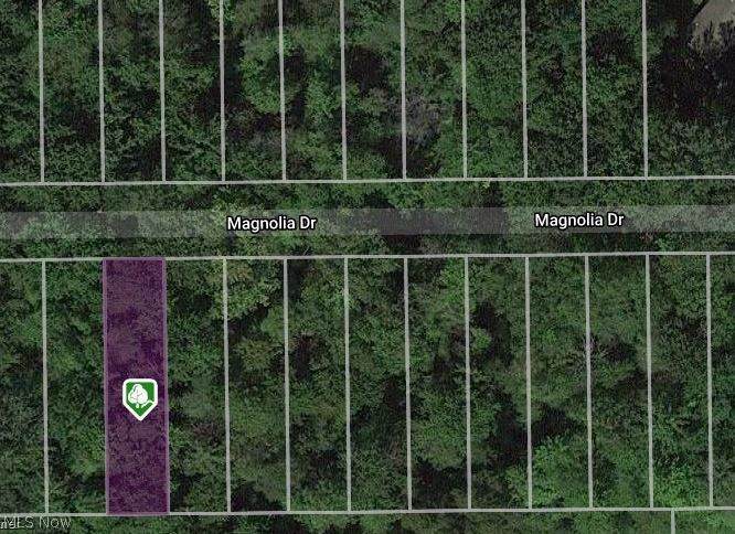 V/L Magnolia #20 Drive - Photo 1
